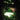 Oluce Stones lamp glowing in a garden among plants at night