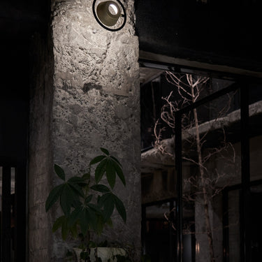 Seed Design Olo Ring Wall/Ceiling Lamp Gold