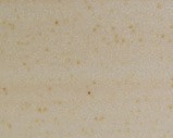 Scatchard 25.5" Stoneware Table Lamp: Oatmeal finish sample from House of Troy