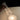 Candél Salt and Pepper 2-Pack by Pablo – clear white and smoke black cones – view 13