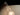 Candél Salt and Pepper 2-Pack by Pablo – clear white and smoke black cones – view 13