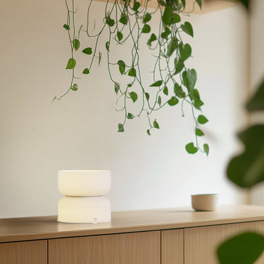 Totem Mini Table Lamp by Pablo Designs – Etched Glass, Dim to Warm