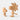 Boyhood Peanut x Woodstock Oak