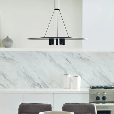Decorative black LED ceiling light with disc design for commercial interiors and upscale homes