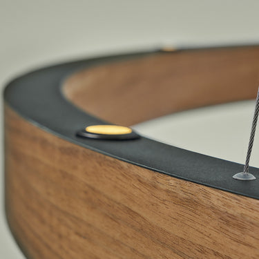 R2 S ring pendant lamp by David Abad