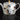 Tea or Coffee Pot by Roberto Cavalli Home in Garden's Birds, view 3