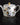Tea or Coffee Pot by Roberto Cavalli Home in Garden's Birds, view 3