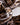 Coffee Cups & Saucers, Set of 2 by Roberto Cavalli Home in Jaguar, view 3