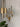ET2 Reveal tubes with wide gold bands at different heights beside a potted plant (Satin Nickel and Satin Brass version)