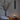 Roest pendant hanging beside a bed as a bedside light, Graypants lifestyle photo