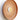Totem Sconce Metal by Pablo – Terracotta 22" shade, White/Brass