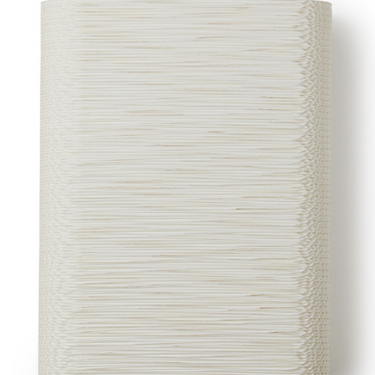 Scraplights Skew Modern Sustainable Wall Light by Graypants in White Finish