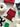 Cream & Red Peanuts Snoopy Doghouse Rug by Maison Deux, photo 2