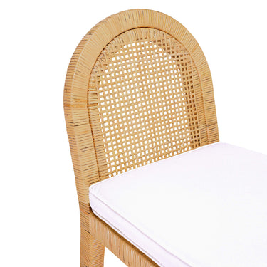 TOV Amara Natural Rattan and Performance Fabric Arched Back Dining Chair Natural