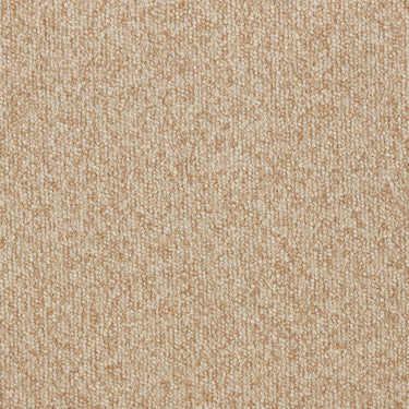 TOV Celine Performance Boucle Dining Chair - Set of 2 Tan