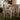 TOV Tomlin Performance Chenille Dining Chair, Beige option, image 3