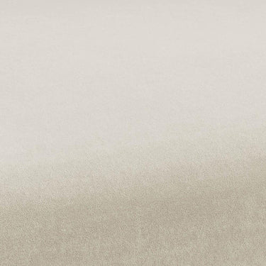 TOV Kim Performance Velvet Dining Chair Cream