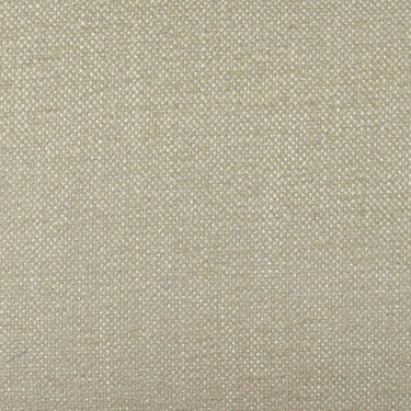 TOV Tiara Performance Basketweave Fabric Dining Chair Cream
