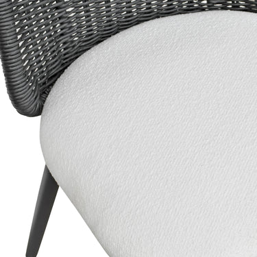 TOV Alexa Rattan Performance Fabric Dining Chair Black
