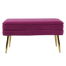 TOV Ziva 31" Velvet Storage Bench, Plum option, image 1