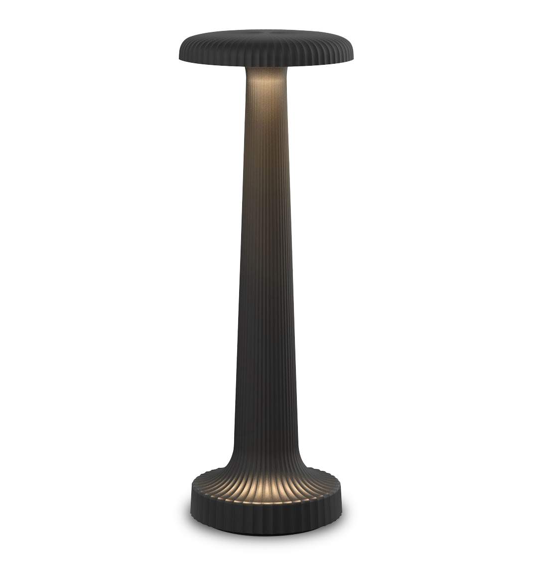 Tall Poppy Cordless Table Lamp by Neoz