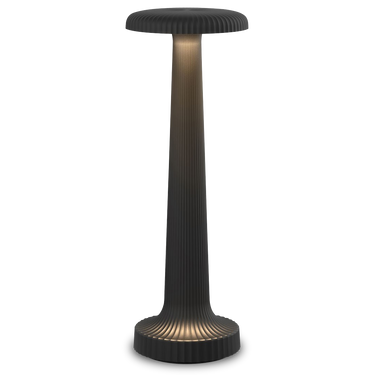 Tall Poppy Cordless Table Lamp by Neoz