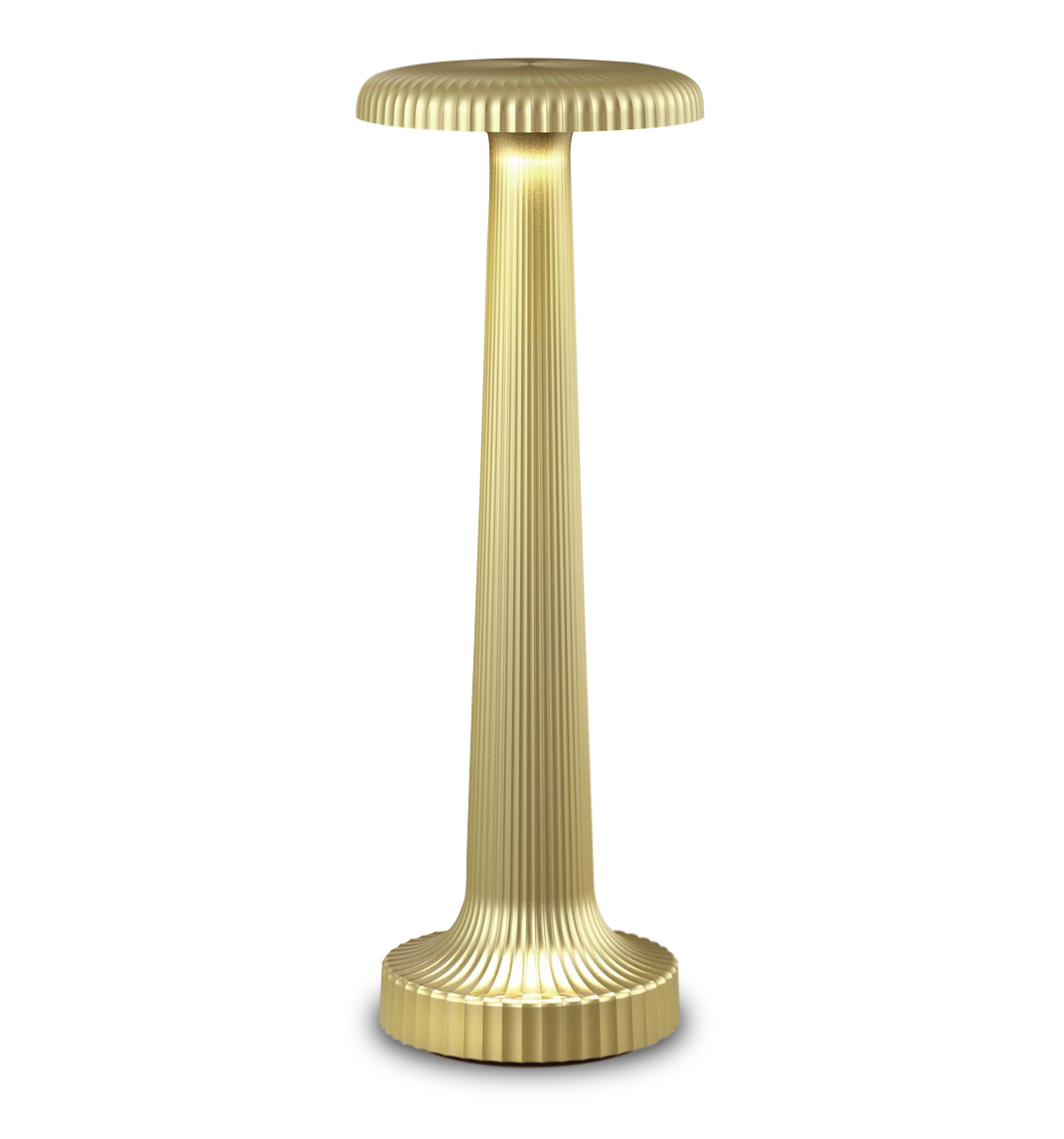 Tall Poppy Cordless Table Lamp by Neoz