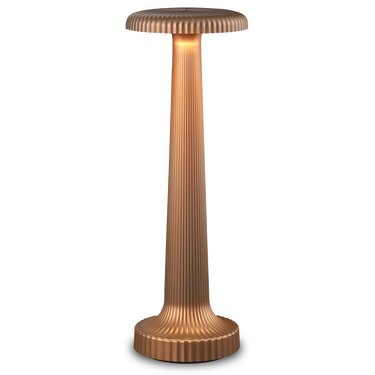 Tall Poppy Cordless Table Lamp by Neoz
