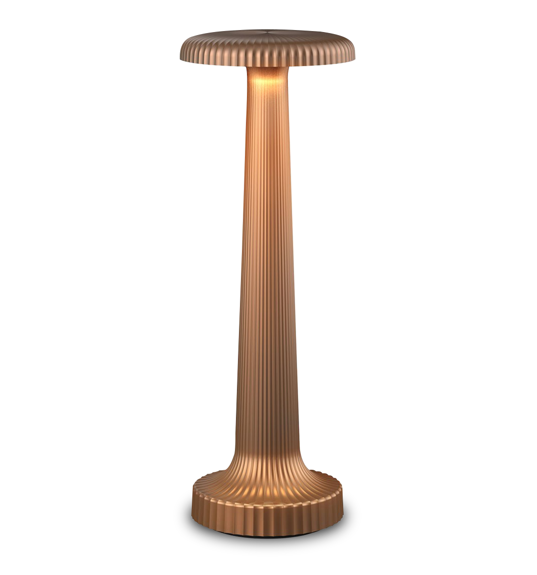 Tall Poppy Cordless Table Lamp by Neoz