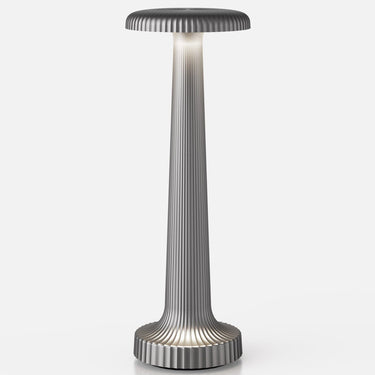 Tall Poppy rechargeable lamp by NEOZ – Satin Silver