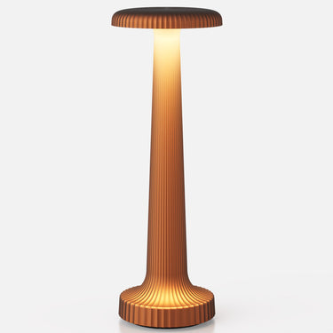 Tall Poppy rechargeable lamp by NEOZ – Satin Bronze