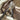 Tobisho Pruning Shears