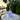 Vessel 2S Bluetooth LED Cordless Lamp by Smart & Green glowing violet on a round table at a waterfront patio at sunset - LoftModern