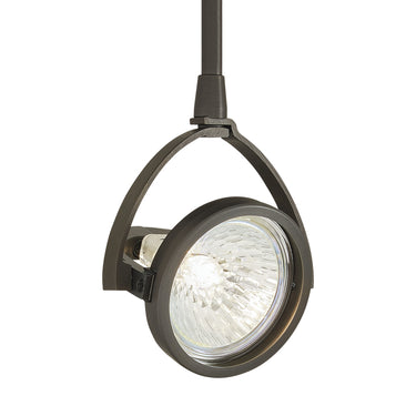 Visual Comfort low-voltage directional lighting for highlighting artwork.