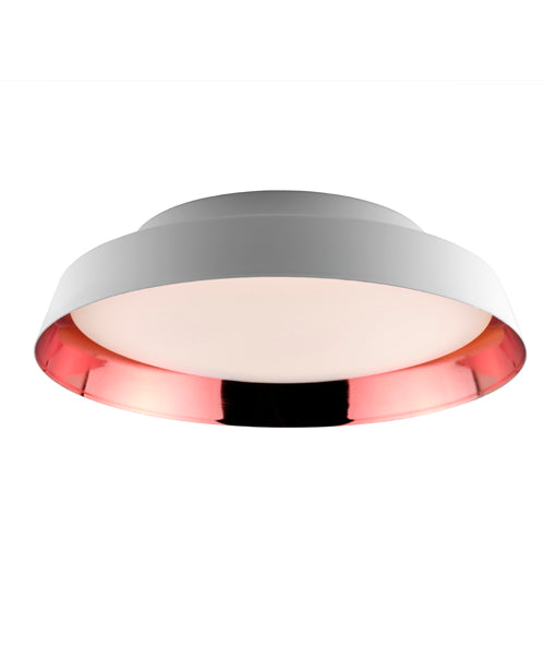 Boop! Wall or Ceiling Light by Carpyen