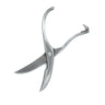 Campi Italicus Poultry Shears, IC Design – view 1