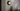 Carapace wall light glowing on a gray wall above a console with a gold vase