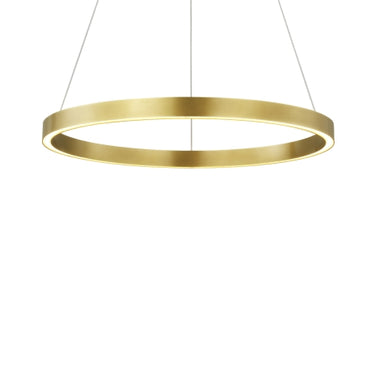Adjustable 24 inch pendant light for high ceilings in plated brass finish