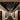 Graypants Loci installation in a commercial office hallway, wide view