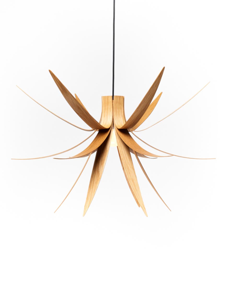 Large Iris Pendant Light by MacMaster Design