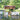White Dot 2 cubes and benches on a stone terrace beside a pond and covered bridge