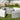 The Ring set of four curved white and gray vinyl benches around a round ottoman on a lawn in front of a stone wall