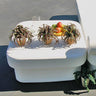 La Fete Design Furniture Stand Daybed Corner Ottoman at MetropolitanDecor.com
