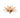 MacMaster Lotus Tea Light