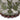 TOV Dex Ottoman, Green option, image 4