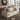 Neah by Innovation Living styled interior shot 18