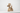 Boyhood Ballon d’Og Oak Object – Small, Boyhood Denmark