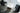 Sky Solo 5-light chandelier by Pablo with a Barcelona chair