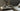 Official blomus film | low ikebana bowl | MIYABI by Kazushige Miyake for blomus