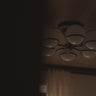 Watch the Astep Model 2042/6 Ceiling Light in motion